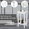 Set of 2 Versatile 2-Tier End Tables with Storage Shelf